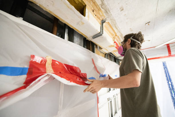 Reliable Coolidge, AZ Mold Removal Solutions