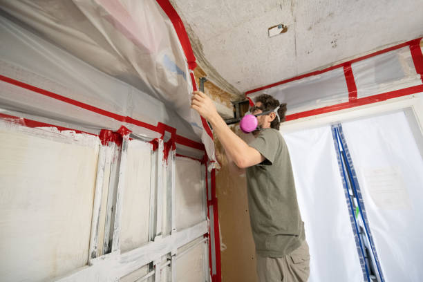 Best Commercial Mold Inspection  in Coolidge, AZ
