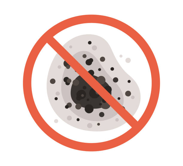Best Environmental Consulting for Mold Prevention  in Coolidge, AZ