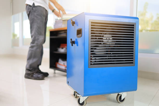 Mold Odor Removal Services in Coolidge, AZ