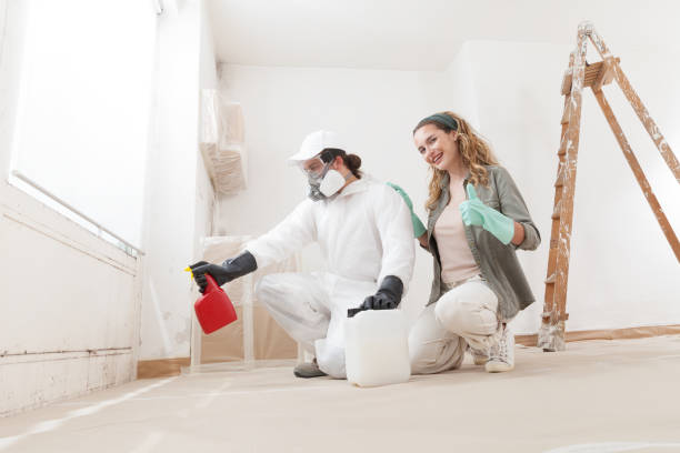 Best Post-Remediation Verification Testing  in Coolidge, AZ