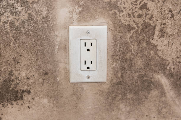 Best Air Quality Testing for Mold Spores  in Coolidge, AZ
